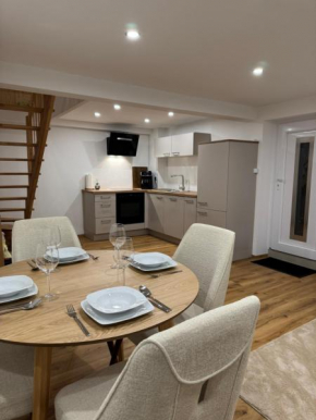 Isaak Apartment Lottstetten
